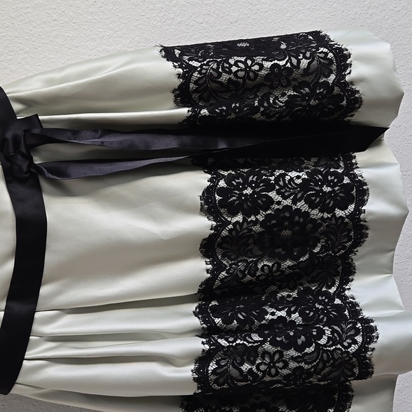 Elegant Satin Pastel Green & Black Lace A Line Sweatheart Knee Length Prom Dress - Picture 4 of 11